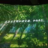 用户2525945708958头像