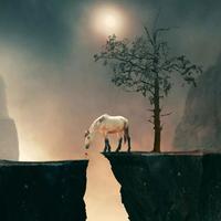 黄轩永州分轩头像