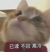 amobi的个人资料头像