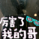 兄弟啊头像