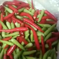 糖糖的粑粑0头像