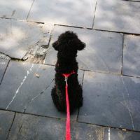 给朱利安666头像