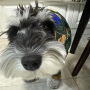 Snail480的个人资料头像