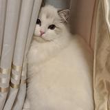 用户7153678016522头像