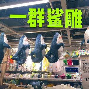 蓝爸爸不是红爸爸头像