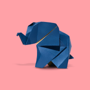 coolman的个人资料头像