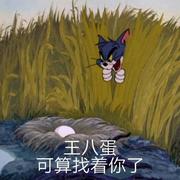 不知名贵妇的个人资料头像