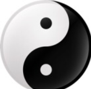 apolla10598的个人资料头像