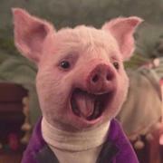 beans的个人资料头像