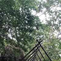 zhouxiaofeng12头像