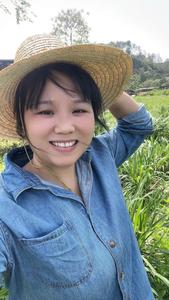 乡野英子(供销甄选)