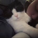 西关瘦狗岭战神头像