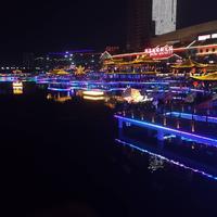 泰医830头像