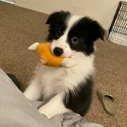 闰水的个人资料头像