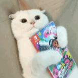 gaffey的个人资料头像