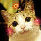 ColorfulNight的个人资料头像