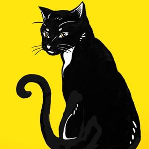 黑猫Yellow头像