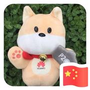 秦岭Eboy的个人资料头像