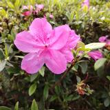 用户6765610525137头像