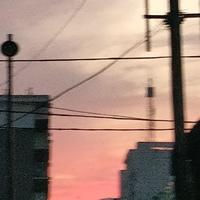 A奶酪棒批发小王头像