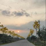 用户8563488196857头像
