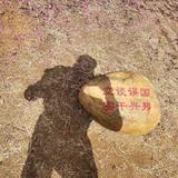 XQ775头像