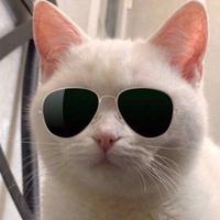 方舟子子子子梓头像