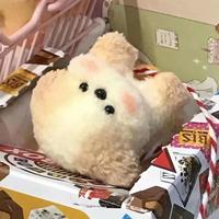 风姿卓越艺术家cX5头像