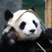 一笔的个人资料头像