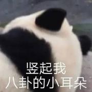 看我眼色行事的个人资料头像