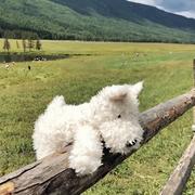 Dnl的个人资料头像