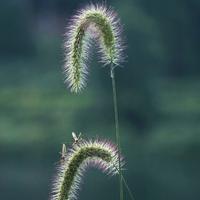 天涯共此时zi头像