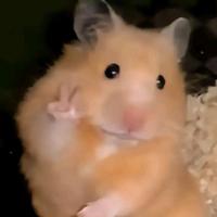 用户6099376562324头像