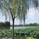 昊天不平卍头像