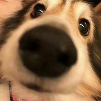 淡泊的风铃OQq头像