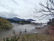 大壮的小木屋的个人资料头像