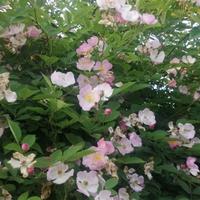 用户1323169675931头像