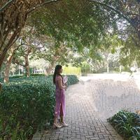 倾我所能，尽我所有头像