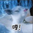 undefined同志77268的个人资料头像