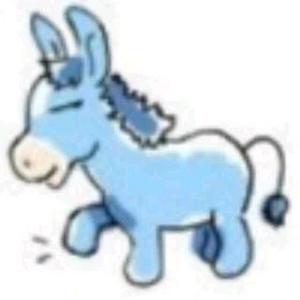 玉面小飞驴0x4d头像