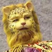 篱笆上的猫的个人资料头像