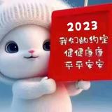 元气喜鹊gA头像