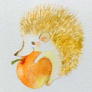 哈利噶的个人资料头像