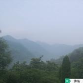 用户8959101554122头像