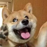 aibeanw的个人资料头像