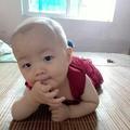 宏四海头像