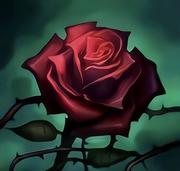 lebronron的个人资料头像