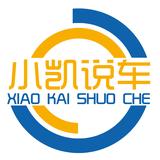 小依说车头像