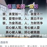 2233438623头像