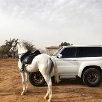 用户9050091654489头像